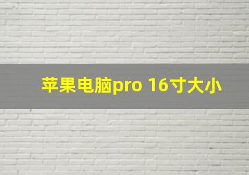 苹果电脑pro 16寸大小